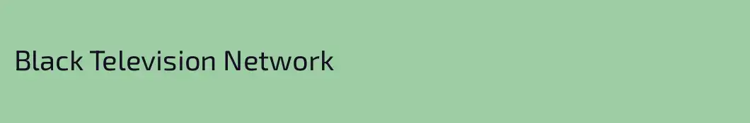 Black Television Network